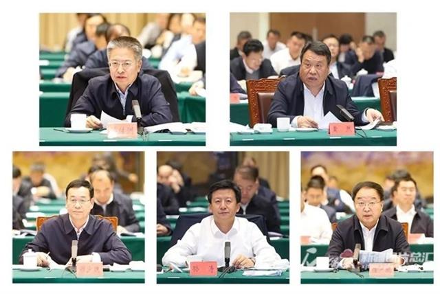 新疆新一轮找矿突破战略行动座谈会召开图2