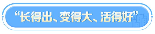 营商环境获评双前十，湖南凭什么？图2